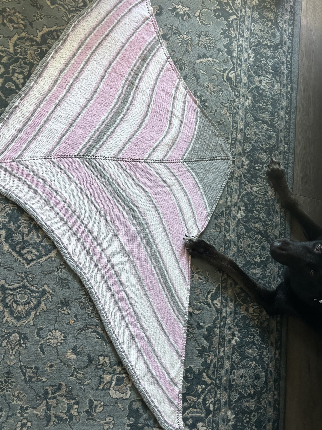 Hand-knit striped rebozo laid on a rug, with a curious dog alongside